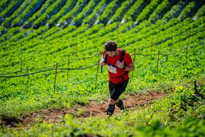 BIB: 
                            <button type="button" onclick="openModal(19161926)" class="btn btn-primary btn-sm float-right btn-popup" data-toggle="modal" data-target=".modal-high-quality">
                        <i class="fas fa-shopping-cart"></i> Add to Cart
                    </button>
                                            <button type="button" onclick="isThisMe(19161926, true)" class="btn btn-success btn-sm float-right btn-popup btn-isme hidden" data-toggle="tooltip" data-placement="bottom" title="นี่คือรูปของคุณใช่ไหม คลิกที่นี่เพื่อเอาเข้าอัลบั้ม">
                        <i class="fas fa-plus"></i> Add to album
                    </button>
                    <button type="button" onclick="isThisMe(19161926, false)" class="btn btn-warning btn-sm float-right btn-popup btn-isnotme hidden">
                        <i class="fas fa-ban"></i> Remove from album
                    </button>